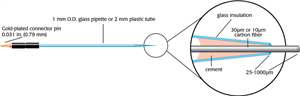 Carbon Fiber Electrodes